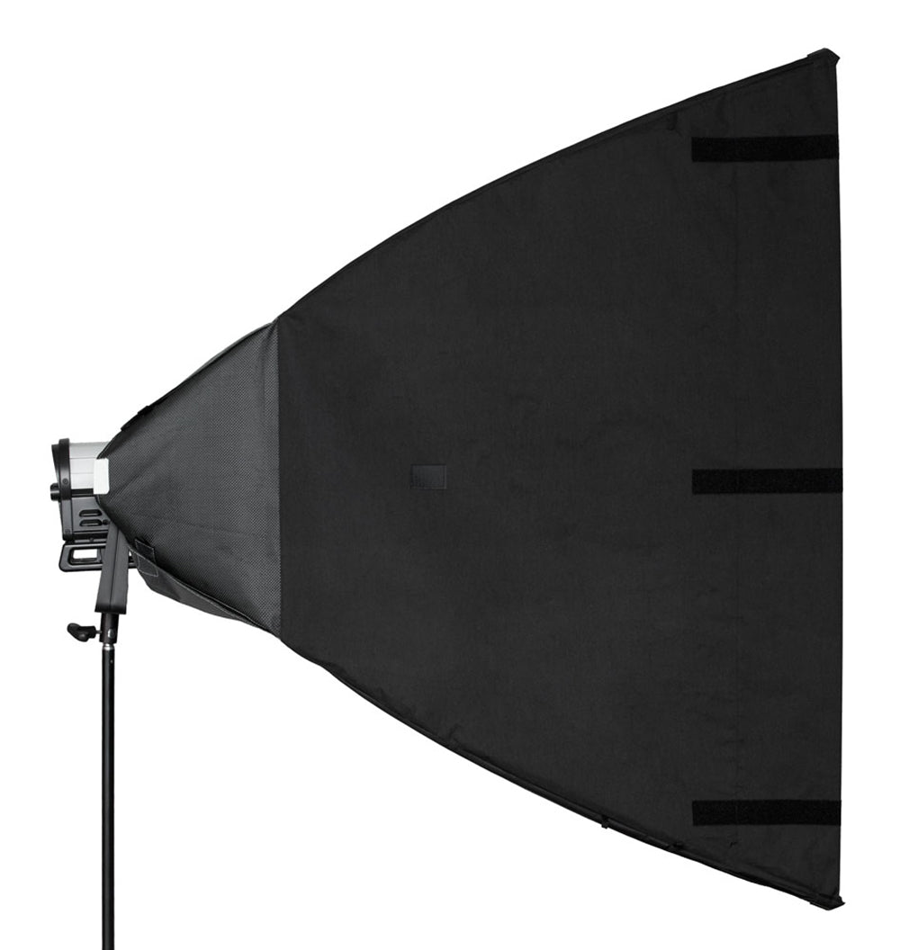 Daylite Jr Plus One - Medium